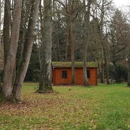 Forest House, Design *
